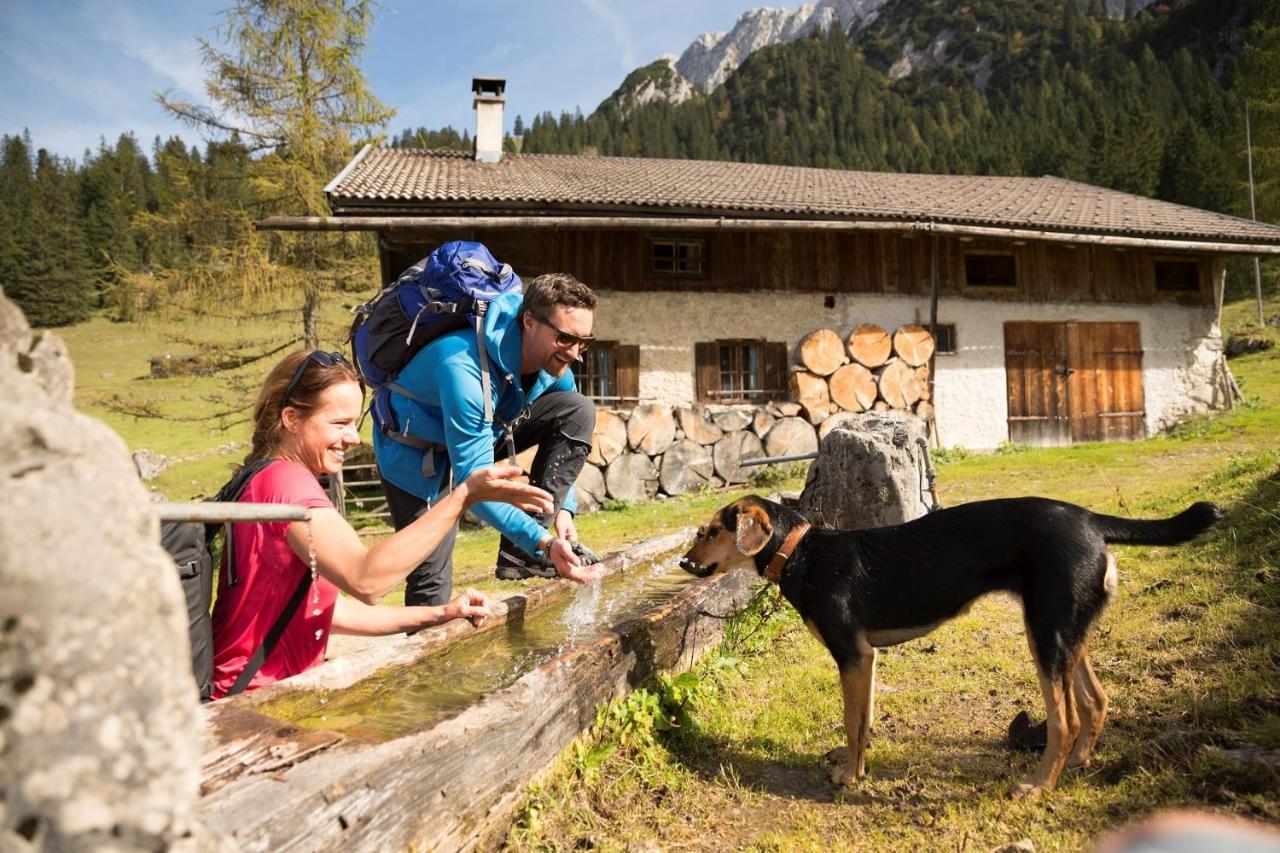 Alpenlodge, Ferienwohnung 16 Thiersee Bagian luar foto